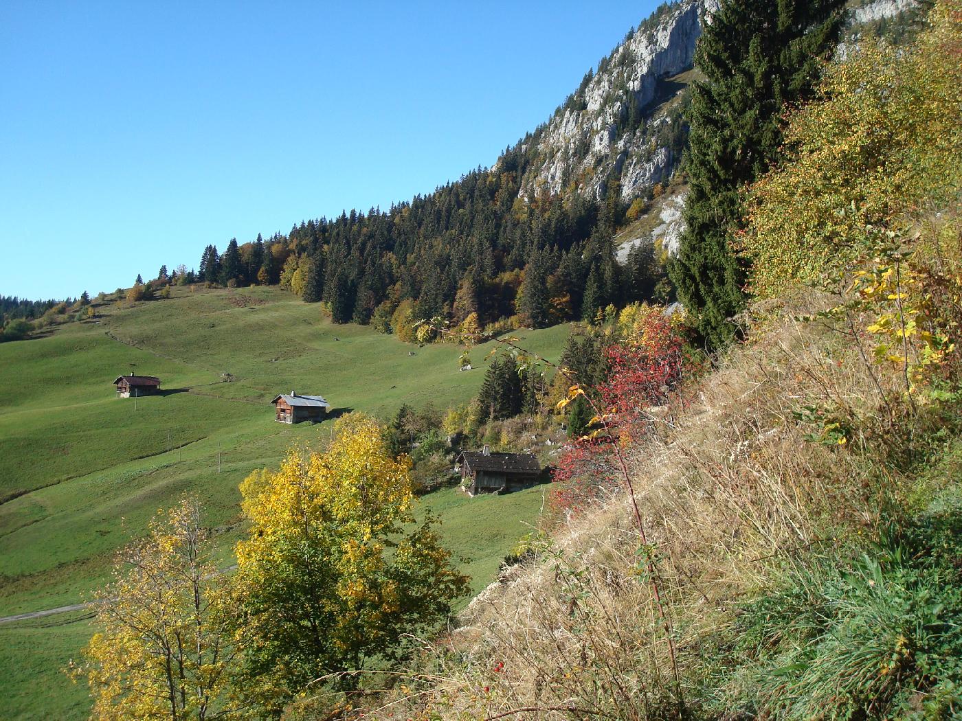 DSC02950.jpg - Le sentier s��l�ve au-dessus de la Culaz