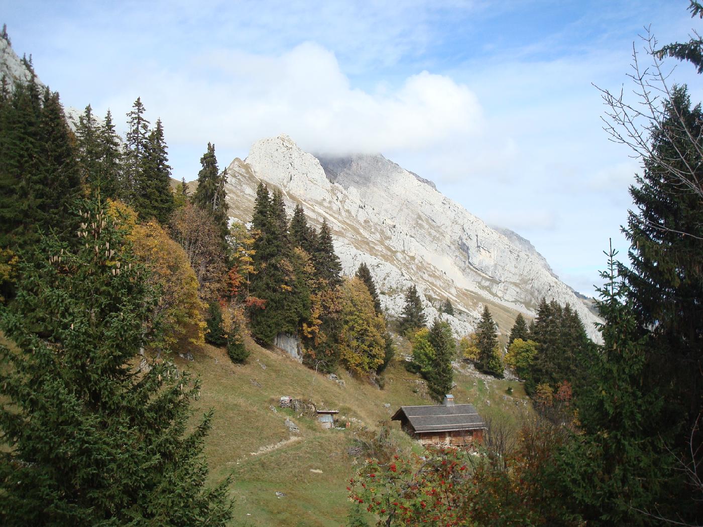 DSC02964.jpg - Le Roc des Tours : le sentier descend dans l��chancrure