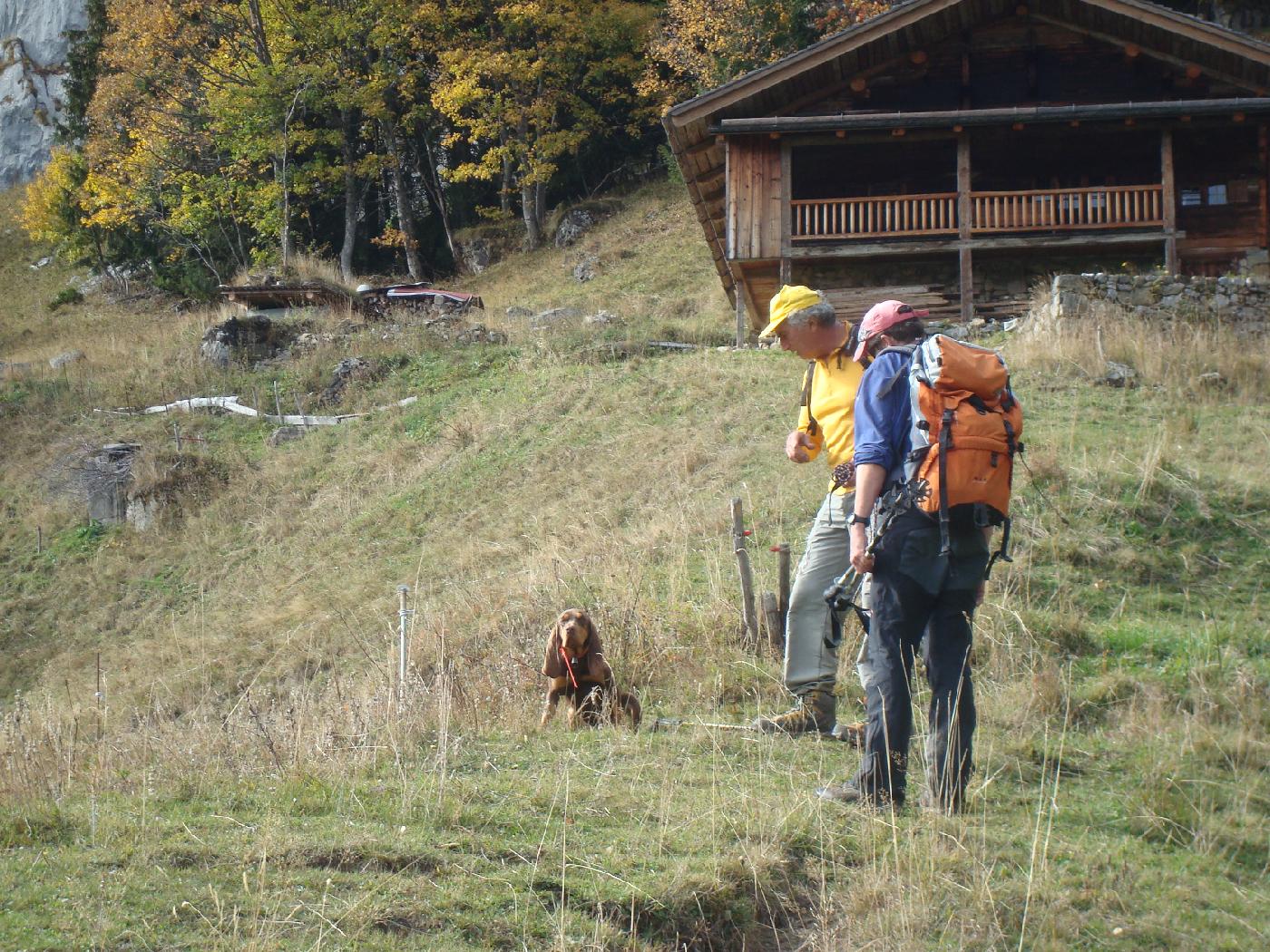 DSC02967.jpg - La chienne a entendu la voix de son ma�tre