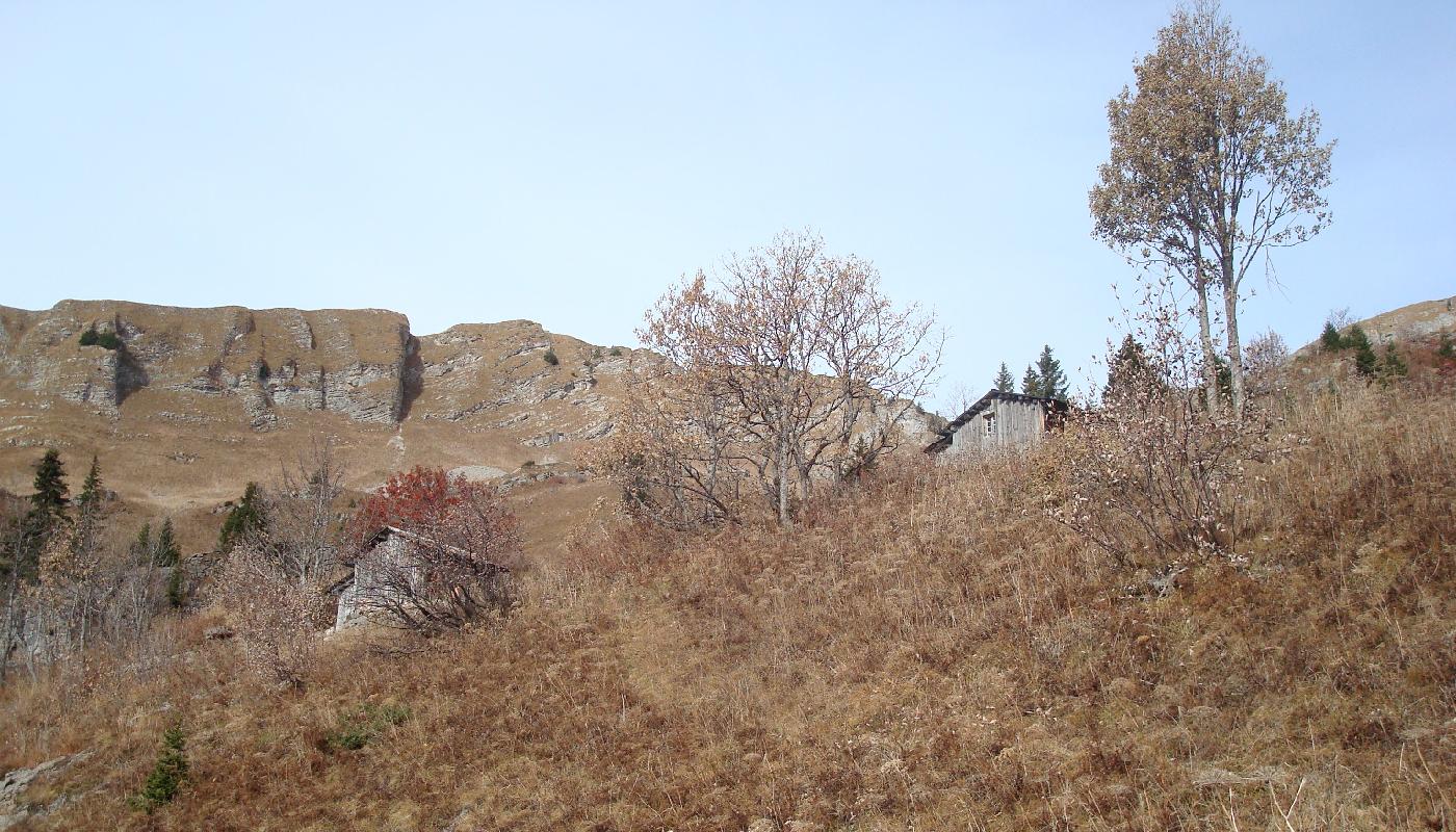 DSC02991.jpg - Sous le chalets du Creux des Boitons