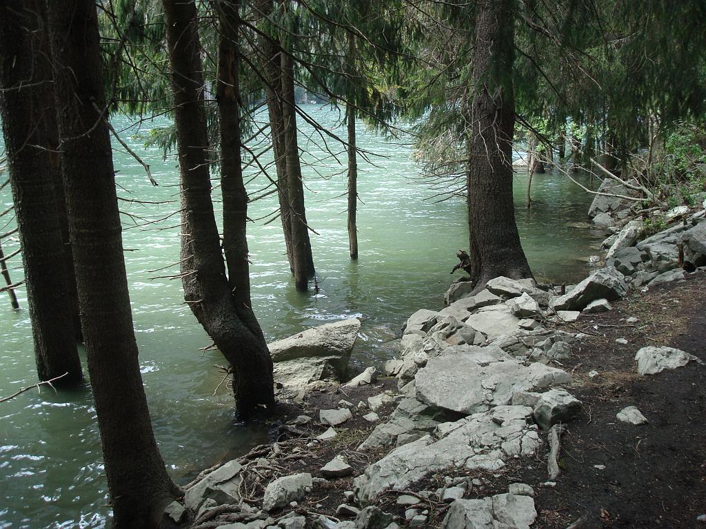 dsc02131.jpg - Le niveau du lac est variable, les arbres ont les pieds dans l´eau