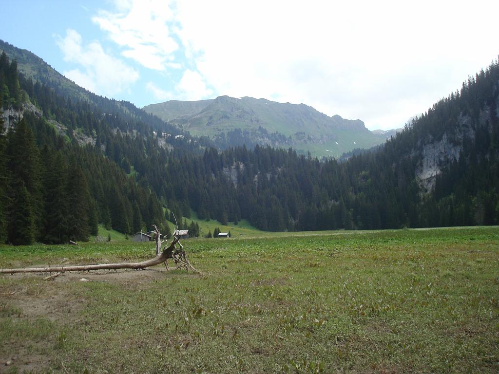 dsc02133.jpg - La Plaine du Lac