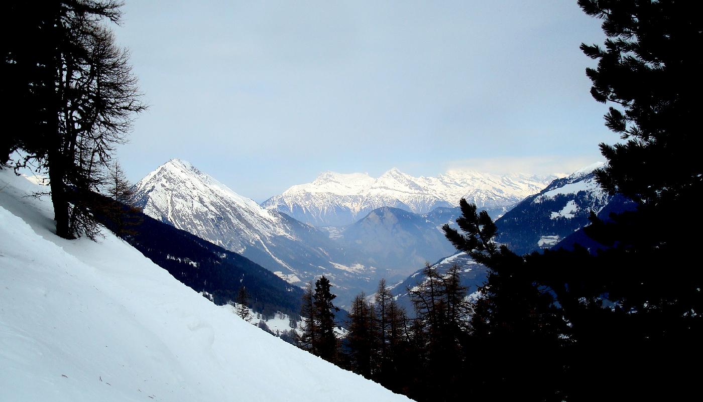 DSC03828.jpg - Vers le Nord, le Catogne, la Dent de Morcles et le Grand Chavalard