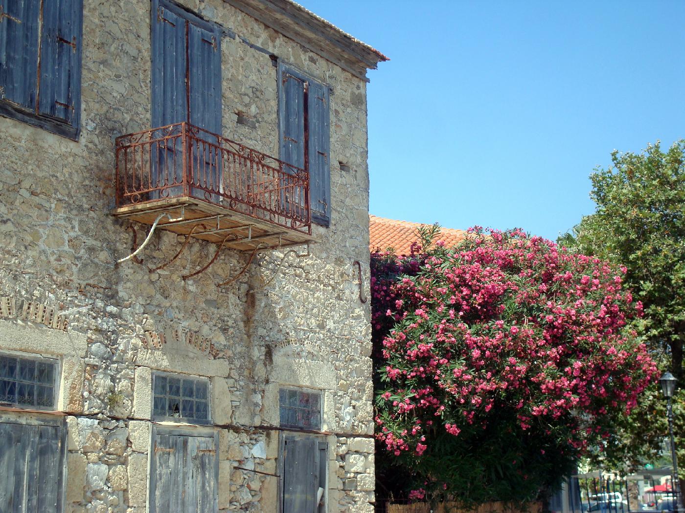 dsc023410.jpg - Maison ancienne et laurier
