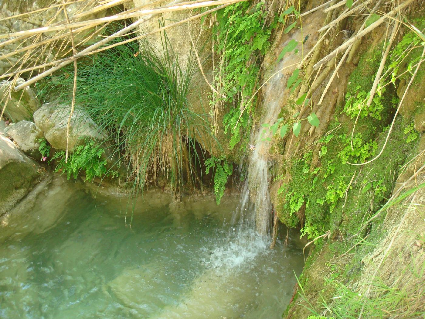 dsc023560.jpg - Cascades et vasques pr�s de Handrinos