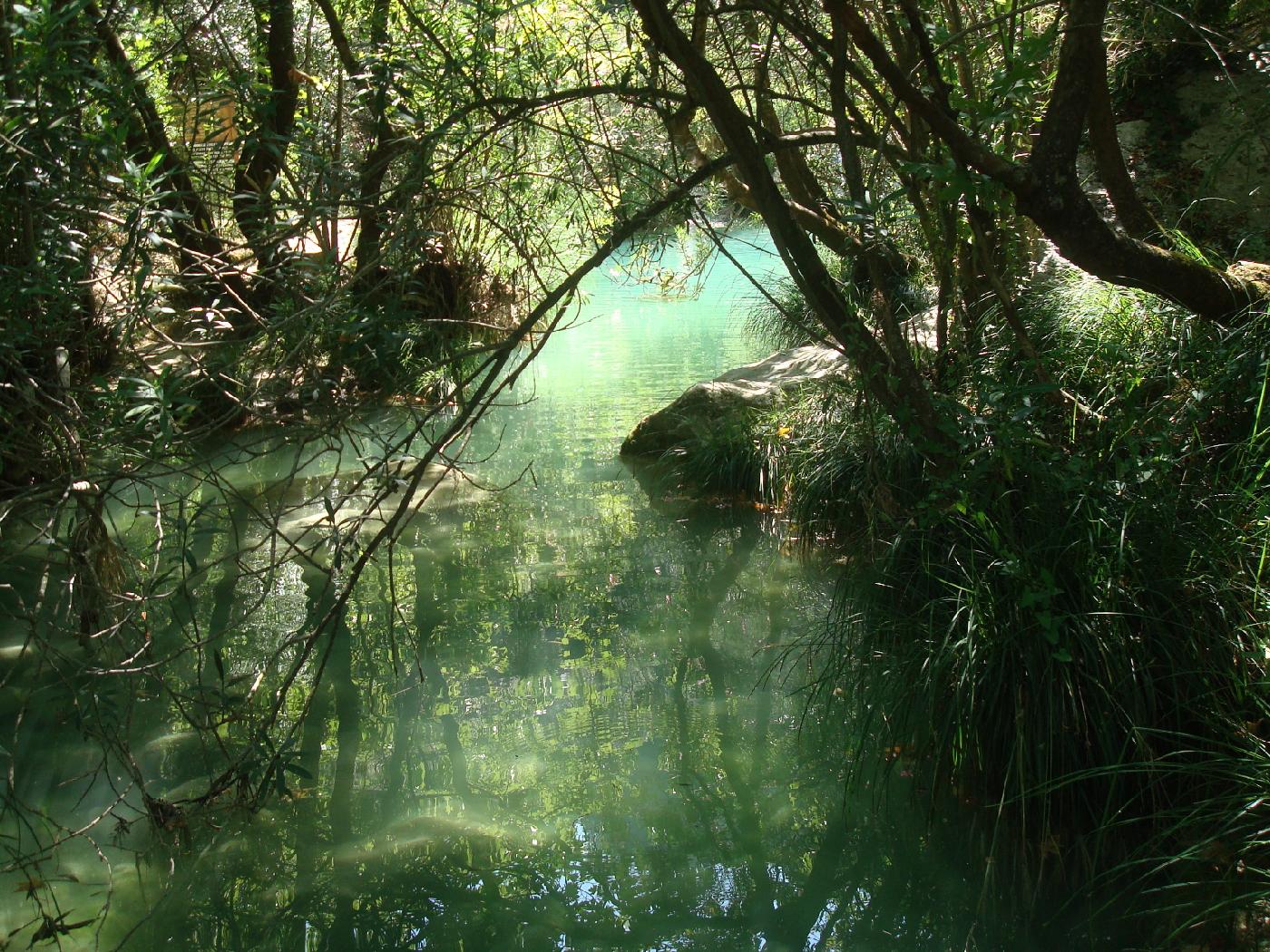 dsc023570.jpg - Cours d�eau en sous-bois