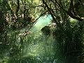 dsc023570