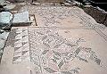 dsc024180